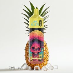 JNR Alien 10000 Puffs Disposable Vape 850mAh Type-C RGB Ananāsu ledus