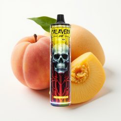 JNR Calavera 11000 Puffs Disposable Vape 21ml Peach Mango Persiku Mango
