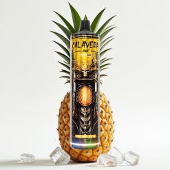 JNR Calavera 11000 Puffs Disposable Vape Type-C 21ml Ananāsu Ledus