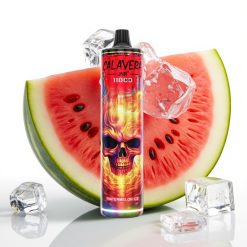 JNR Calavera 11000 Puffs Disposable Vape Type-C 21ml Arbūzu Ledus