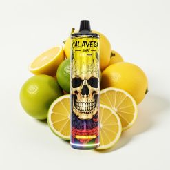 JNR Calavera 11000 Puffs Disposable Vape Type-C 21ml Citrons & Laima