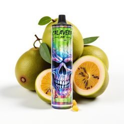 JNR Calavera 11000 Puffs Disposable Vape Type-C 21ml Pasiflora Aveņu Govs