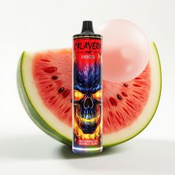 JNR Calavera 11000 Puffs Disposable Vape Watermelon Bubble Gum 21ml 850mAh Type-C