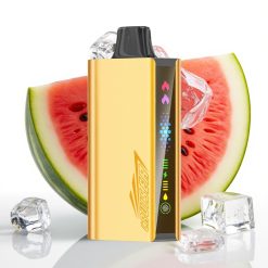 JNR Cruiser 12000 Puffs Bezstieples Disposable Vape Arbūzu Ledus