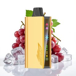 JNR Cruiser 12000 Puffs Disposable Vape ar 3500 mAh bateriju un ekrānu – vīnogu ledus