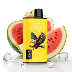 JNR EAGLE Smart 23000 Puffs Digital Screen Adjustable Airflow Kiwi Arbūzs Ledus