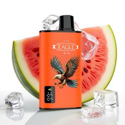 JNR EAGLE Smart 23000 Puffs Disposable Vape Digital Screen Adjustable Airflow Arbūzs Ledus