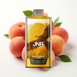 JNR Falcon Pro 28000 30ml Smart Display Dual Coil Dzidrs Persiks