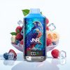 JNR Falcon X 18000 Puffs 24ml Dual Mesh Coil Blue Razz Ice