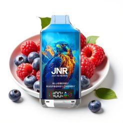 JNR Falcon X 18000 Puffs 24ml Dual Mesh Coil Digital Display Type-C Zemenes Aveņu Ķiršu