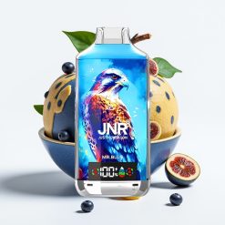 JNR Falcon X 18000 Puffs 750mAh 24ml Digitālais Displejs Zils Kungs