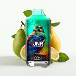 JNR Falcon X 18000 Puffs 750mAh 24ml Dual Mesh Coil Digital Display Type-C Coola Menta