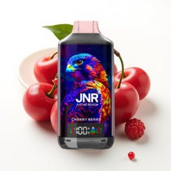 JNR Falcon X 18000 Puffs 750mAh 24ml Kiršu ogu