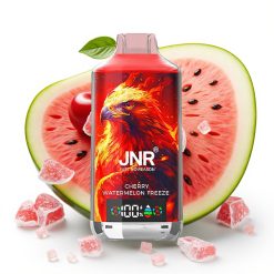 JNR Falcon X 18000 Puffs Dual Mesh Coil Type-C ķiršu arbūza ledus