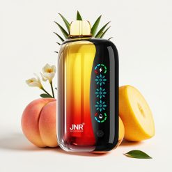 JNR Flex Ice 21000 Puffs Adjustable Airflow Touch Screen Persiku Manga Ananāsu