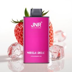 JNR Mega Box 25000 Puffs 30ml 850mAh Type-C Straumeņu Ledus