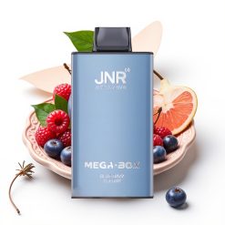 JNR Mega Box 25000 Puffs 30ml Dual Mesh Type-C Zilā Aveņu Ķiršu