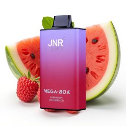 JNR Mega Box 25000 Puffs Disposable Vape 30ml Dual Mesh Coil Raspberry Watermelon