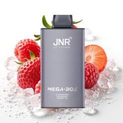JNR Mega Box 25000 Puffs Dual Mesh Coil Type-C Straujene Aveņe Ķirše Ledus