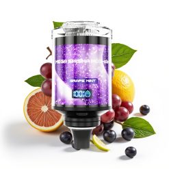 JNR Mega Shisha Hookah 100K Desktop Compatibility 60mL 2200mAh Vīnogu Mētra