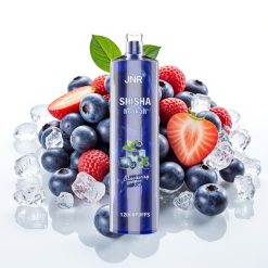 JNR Shisha Hookah 12000 Puffs 24ml 750mAh Type-C Blueberry Ice (Zemeneņu Ledus)