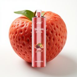 JNR Shisha Hookah 12000 Puffs 24ml 750mAh Type-C Mīlestība 66