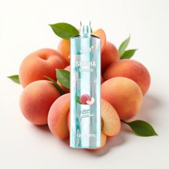 JNR Shisha Hookah 12000 Puffs 24ml 750mAh Type-C Sulu Persiki