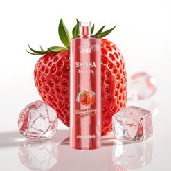 JNR Shisha Hookah 12000 Puffs 24ml 750mAh Type-C Zemeņu Ledus