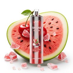 JNR Shisha Hookah 12000 Puffs 24ml 750mAh Type-C ķiršu arbūza ledus