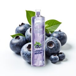 JNR Shisha Hookah 12000 Puffs Disposable Vape 750mAh 24ml Zemenes Mētra