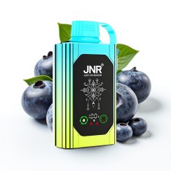JNR Shisha Hookah Box 20500 Puffs HD Display 25ml Blueberry Mint