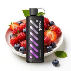 VOZOL Gear Shisha 25000 Puffs Dual Mesh Berry Mint