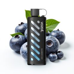 VOZOL Gear Shisha 25000 Puffs Dual Mesh Blueberry Mēta S.i.L.C Tech
