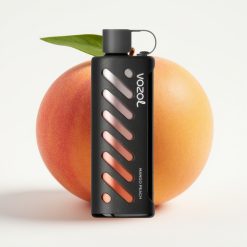 VOZOL Gear Shisha 25000 Puffs Dual Mesh Dual Modes Mango Peach (Mango Persiks)