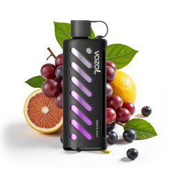VOZOL Gear Shisha 25000 Puffs Dual Mesh Grape Mint