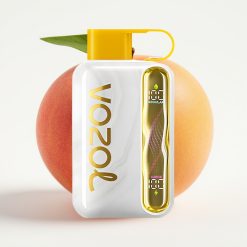 VOZOL STAR 40000 Puffs Disposable Vape Mango Peach 1000mAh Type-C
