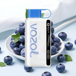 VOZOL STAR 9000 12000 Puffs Blueberry Storm S.i.L.C TECH 650mAh