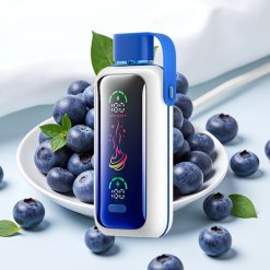 VOZOL Star 20000 Puffs Dual Mesh 650mAh Zilā Toča