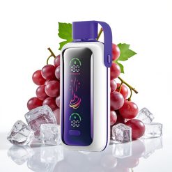 VOZOL Star 20000 Puffs Dual Mesh 650mAh vīnogu ledus