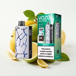 Vozol Neon 45K 45000 Puffs 20ml 800mAh Adjustable Ice Miami Menta